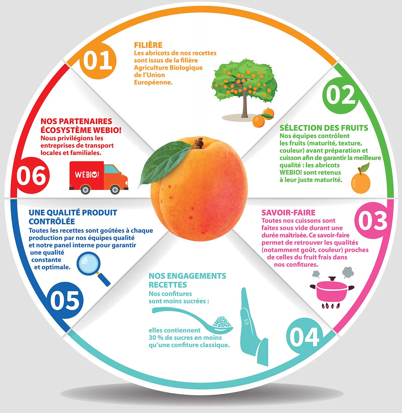 Infographie La confiture d'abricot WEBIO!